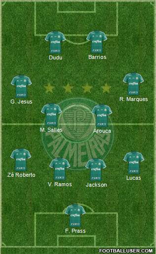 SE Palmeiras Formation 2016