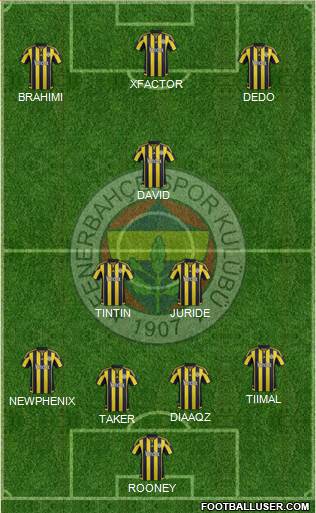Fenerbahçe SK Formation 2016