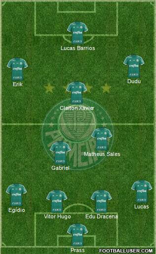 SE Palmeiras Formation 2016