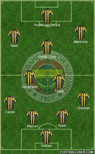 Fenerbahçe SK Formation 2016