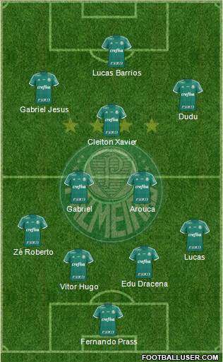 SE Palmeiras Formation 2016