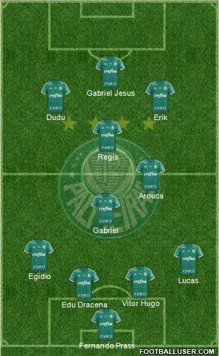SE Palmeiras Formation 2016