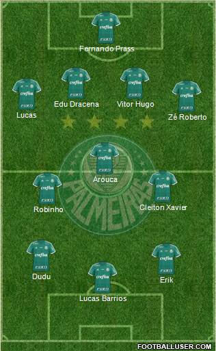 SE Palmeiras Formation 2016