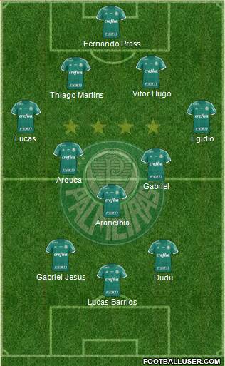SE Palmeiras Formation 2016