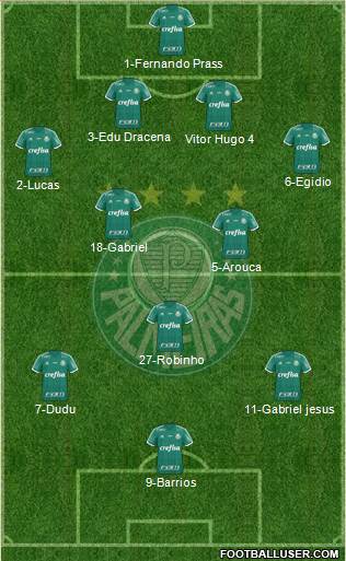 SE Palmeiras Formation 2016