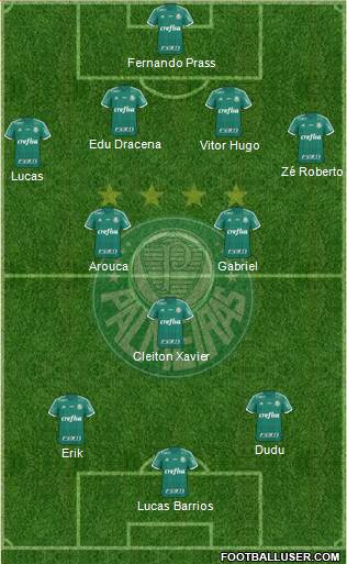SE Palmeiras Formation 2016