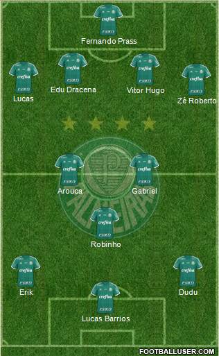 SE Palmeiras Formation 2016