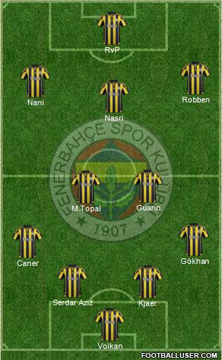 Fenerbahçe SK Formation 2016