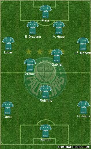 SE Palmeiras Formation 2016