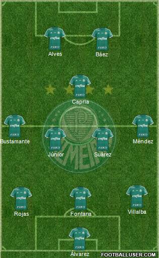 SE Palmeiras Formation 2016
