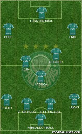 SE Palmeiras Formation 2016