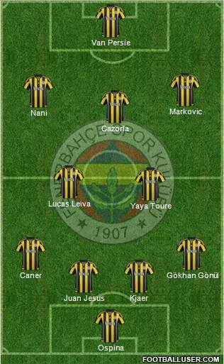 Fenerbahçe SK Formation 2016