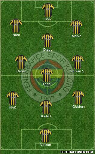 Fenerbahçe SK Formation 2016