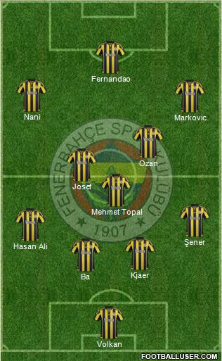 Fenerbahçe SK Formation 2016