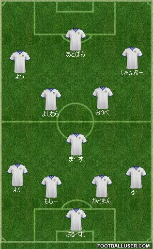 Leeds United Formation 2016