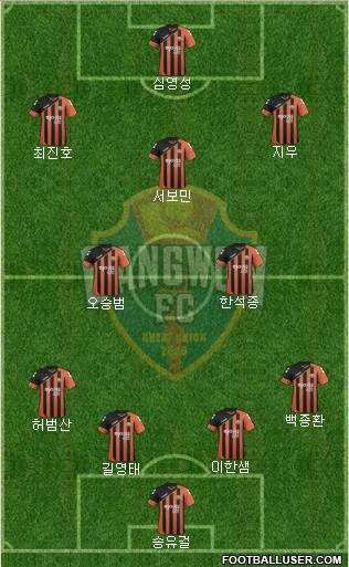 Gangwon FC Formation 2016