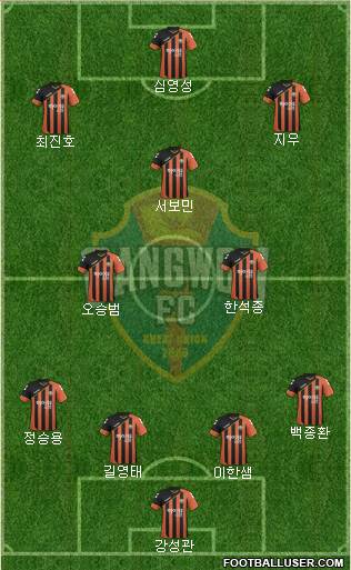 Gangwon FC Formation 2016
