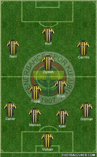 Fenerbahçe SK Formation 2016