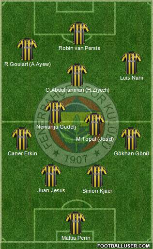 Fenerbahçe SK Formation 2016