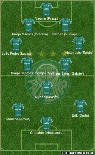 SE Palmeiras Formation 2016