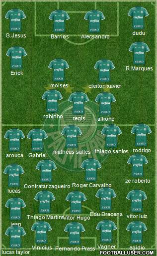 SE Palmeiras Formation 2016