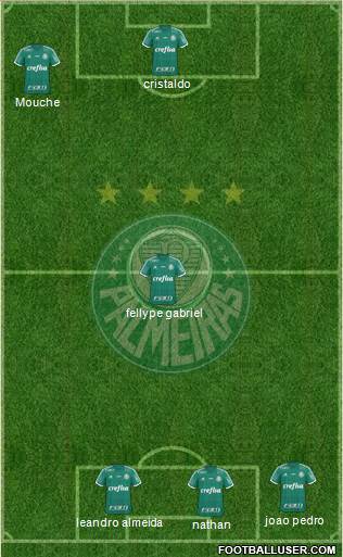 SE Palmeiras Formation 2016