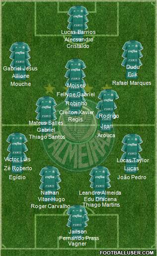 SE Palmeiras Formation 2016