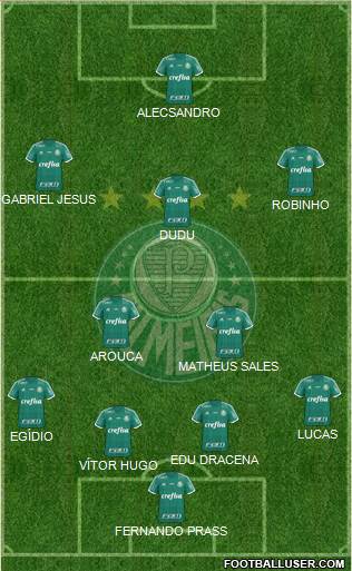 SE Palmeiras Formation 2016