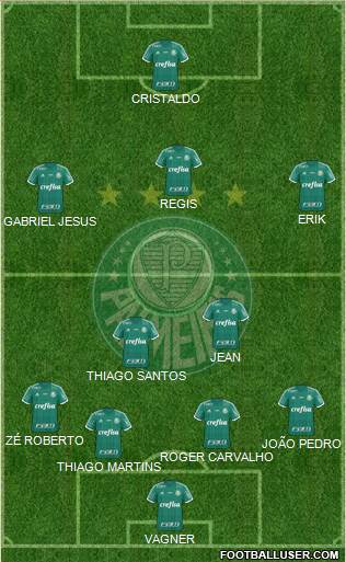 SE Palmeiras Formation 2016