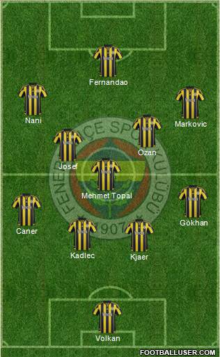 Fenerbahçe SK Formation 2016