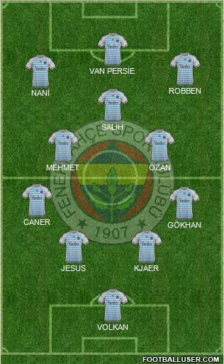 Fenerbahçe SK Formation 2016