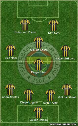 Fenerbahçe SK Formation 2016