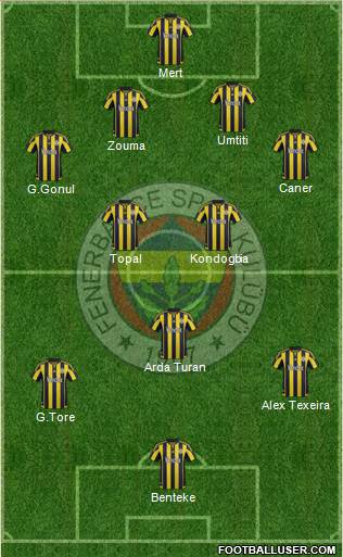 Fenerbahçe SK Formation 2016
