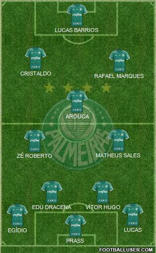 SE Palmeiras Formation 2016