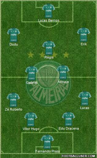 SE Palmeiras Formation 2016