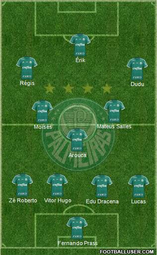 SE Palmeiras Formation 2016