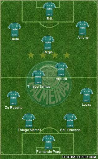 SE Palmeiras Formation 2016