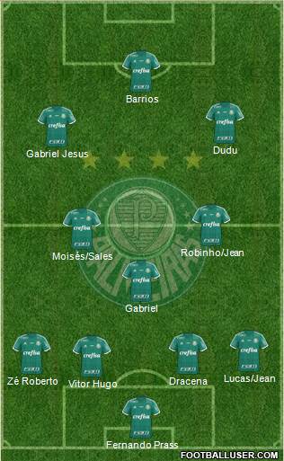 SE Palmeiras Formation 2016