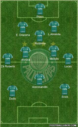 SE Palmeiras Formation 2016