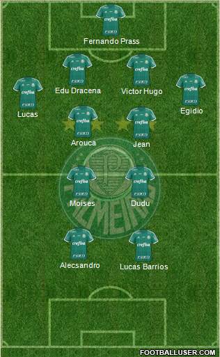 SE Palmeiras Formation 2016