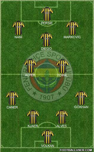 Fenerbahçe SK Formation 2016