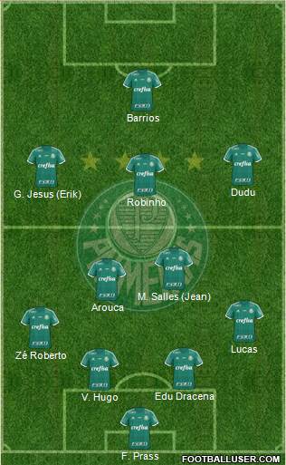 SE Palmeiras Formation 2016