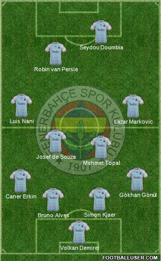 Fenerbahçe SK Formation 2016