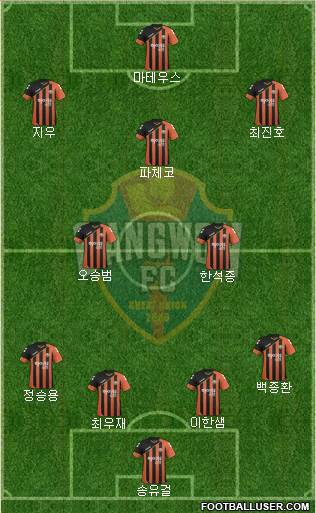 Gangwon FC Formation 2016
