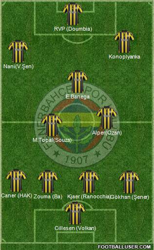 Fenerbahçe SK Formation 2016