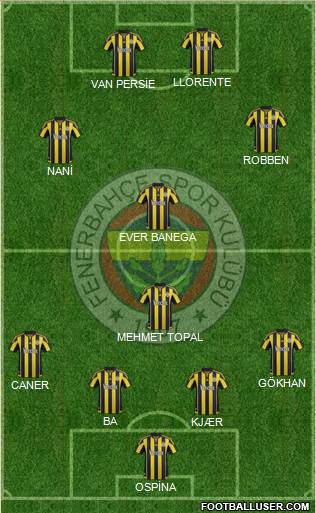 Fenerbahçe SK Formation 2016