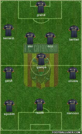 Catanzaro Formation 2016