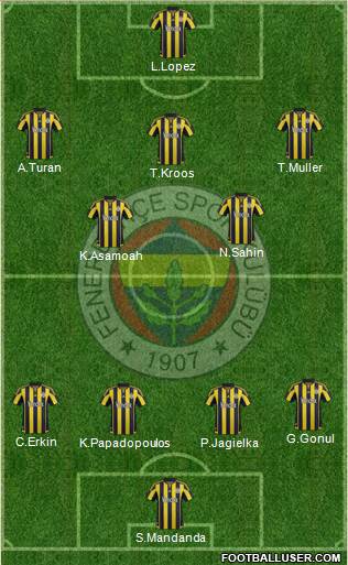 Fenerbahçe SK Formation 2016