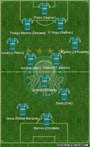 SE Palmeiras Formation 2016