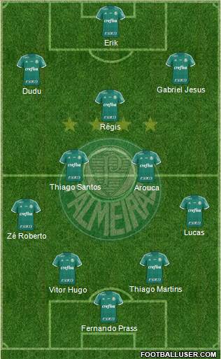 SE Palmeiras Formation 2016